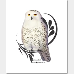 Snowy Owl Posters and Art